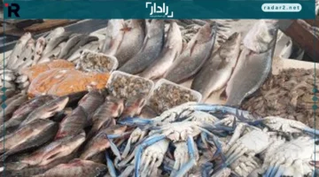 أسعار كيلو البلطي في كفر الشيخ اليوم الأحد 16 نوفمبر 2025